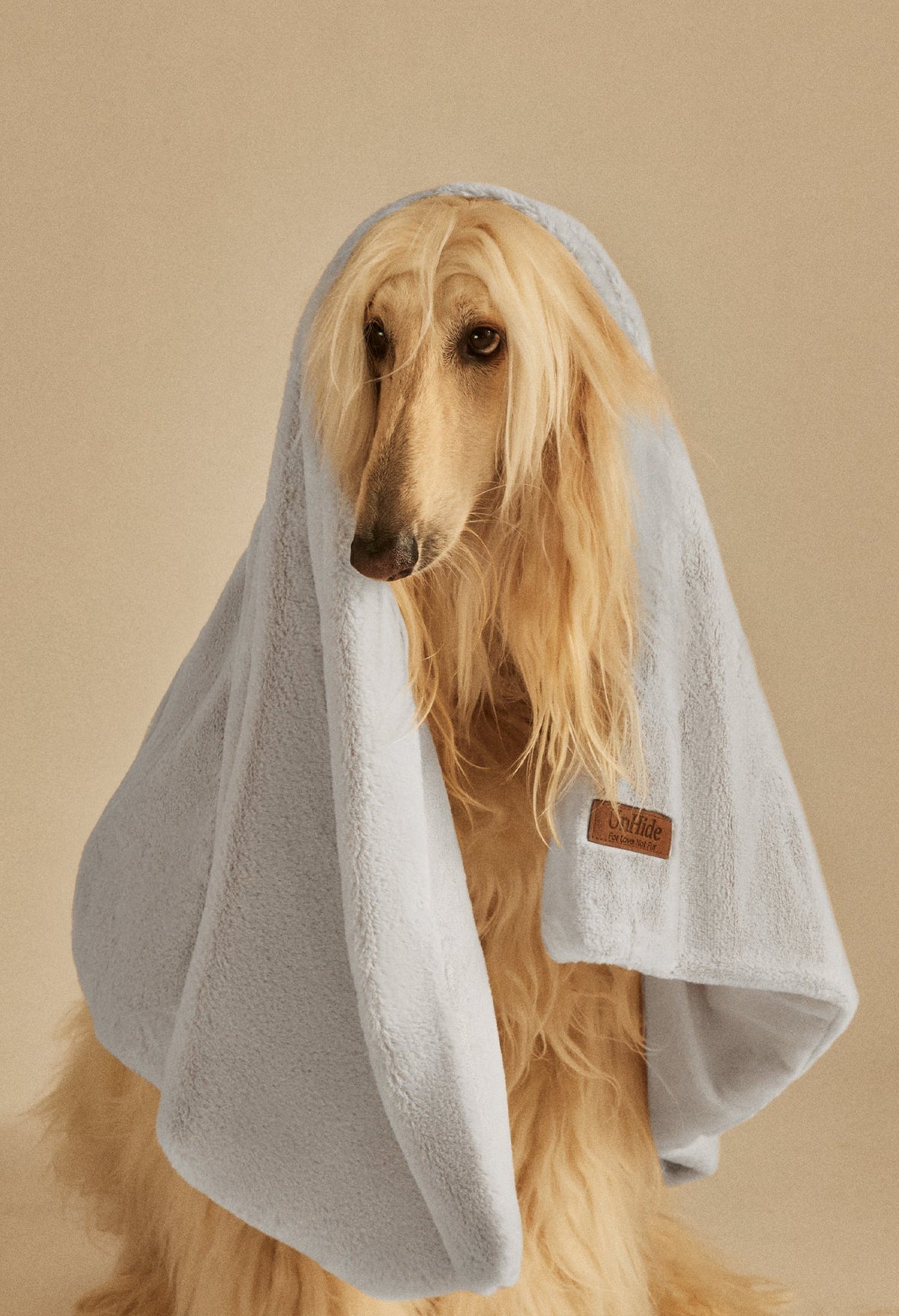 Water-Resistant Pet Blanket Silver Fox