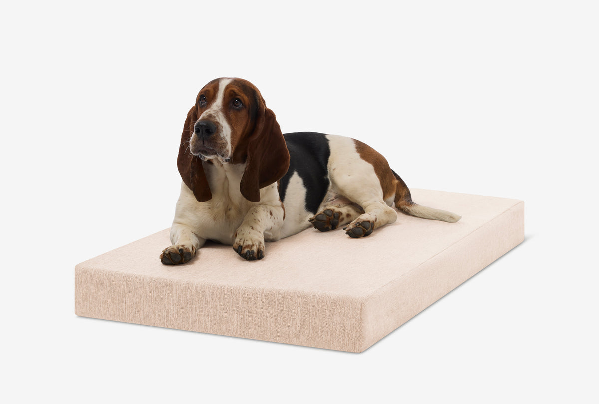 Orthopedic Dog Crate Bed Large - 39" X 25.5" X 4" / Driftwood Linen