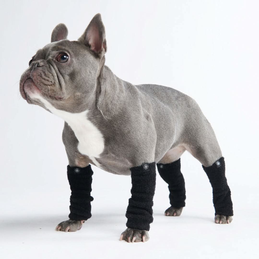 Stretch Fleece Dog Leg Warmers, Leg - Black / S (10-15lbs/4.5-7kg)