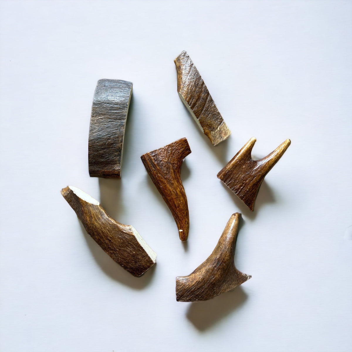 Moose Antler Dog Chew Assortment Large Aggressive Chewer - 1 Large Chew Per Pound / Original Fresh Antler