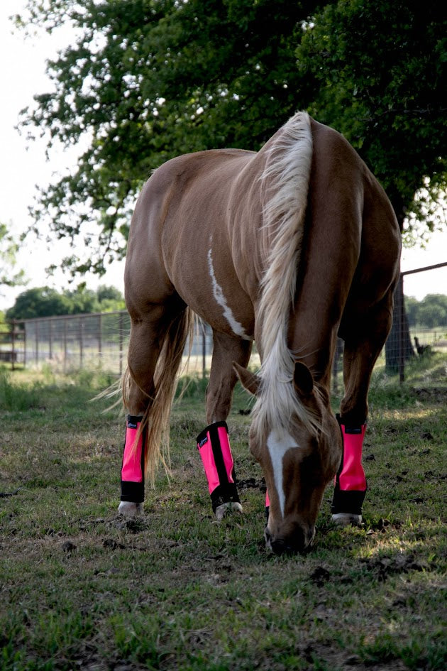 Horse Fly Boots product image 4