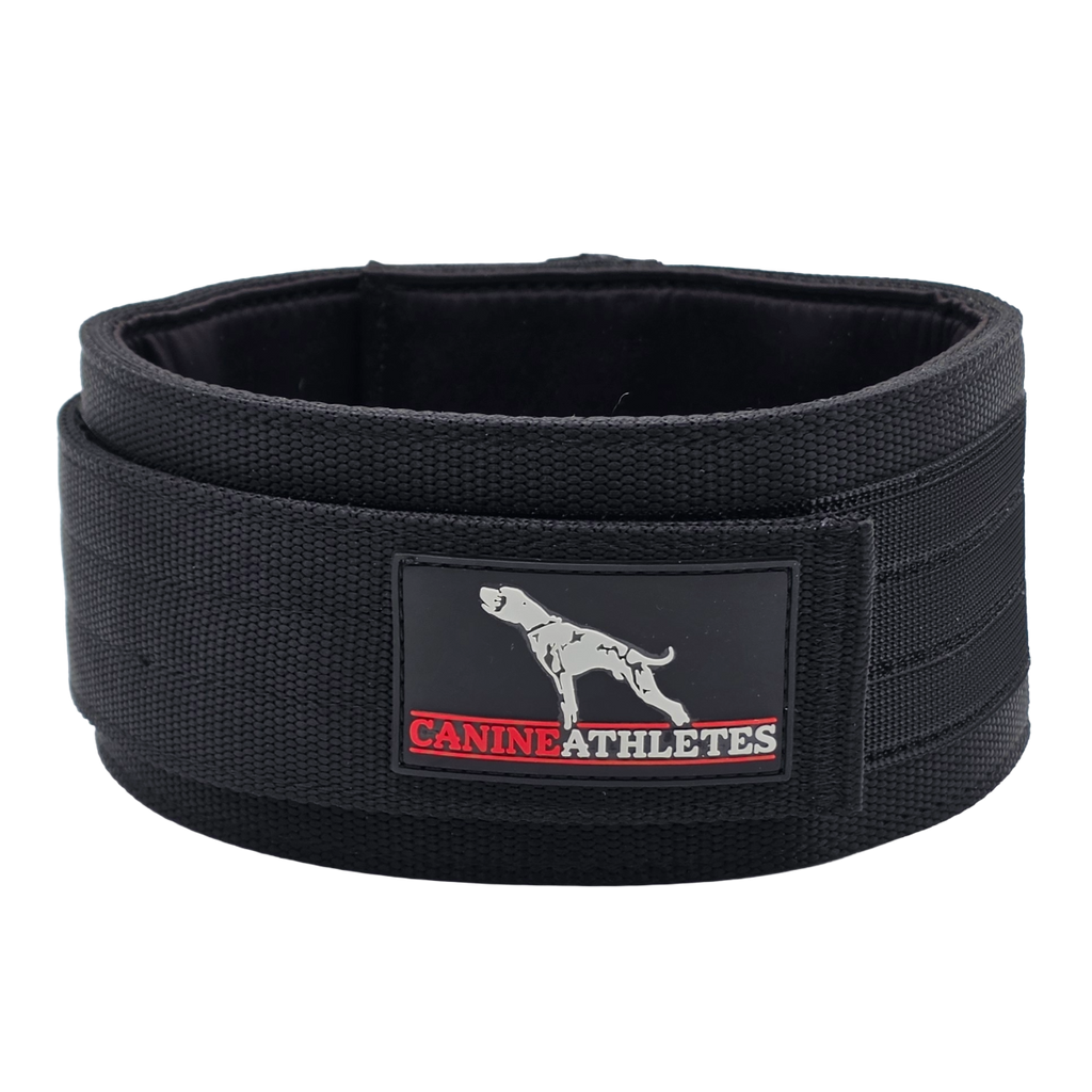 Weighted Working Dog Collar product image 1