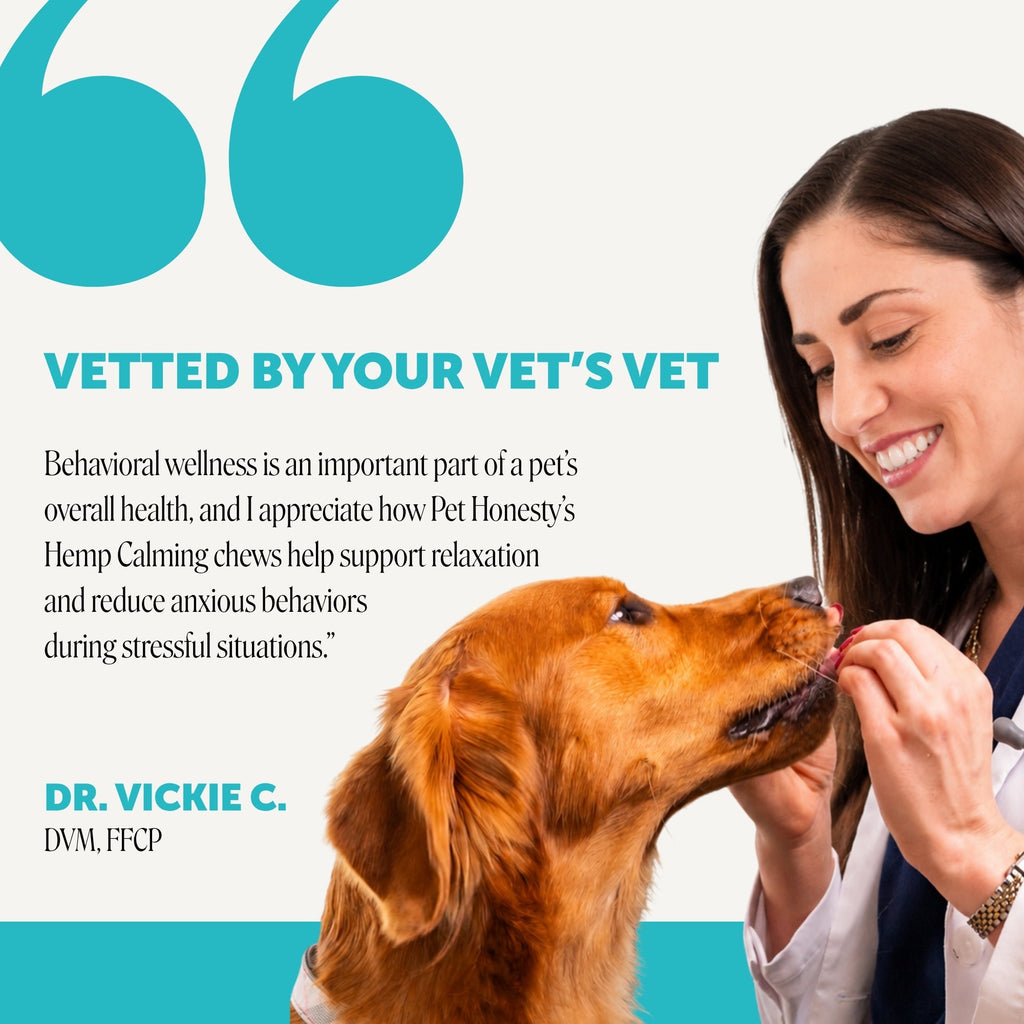 Hemp Calming Soft Chews for Dogs product image 5