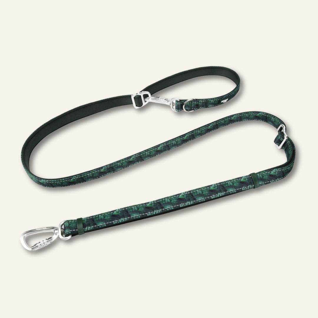 Adjustable Multi-Way Dog Leash Canopy