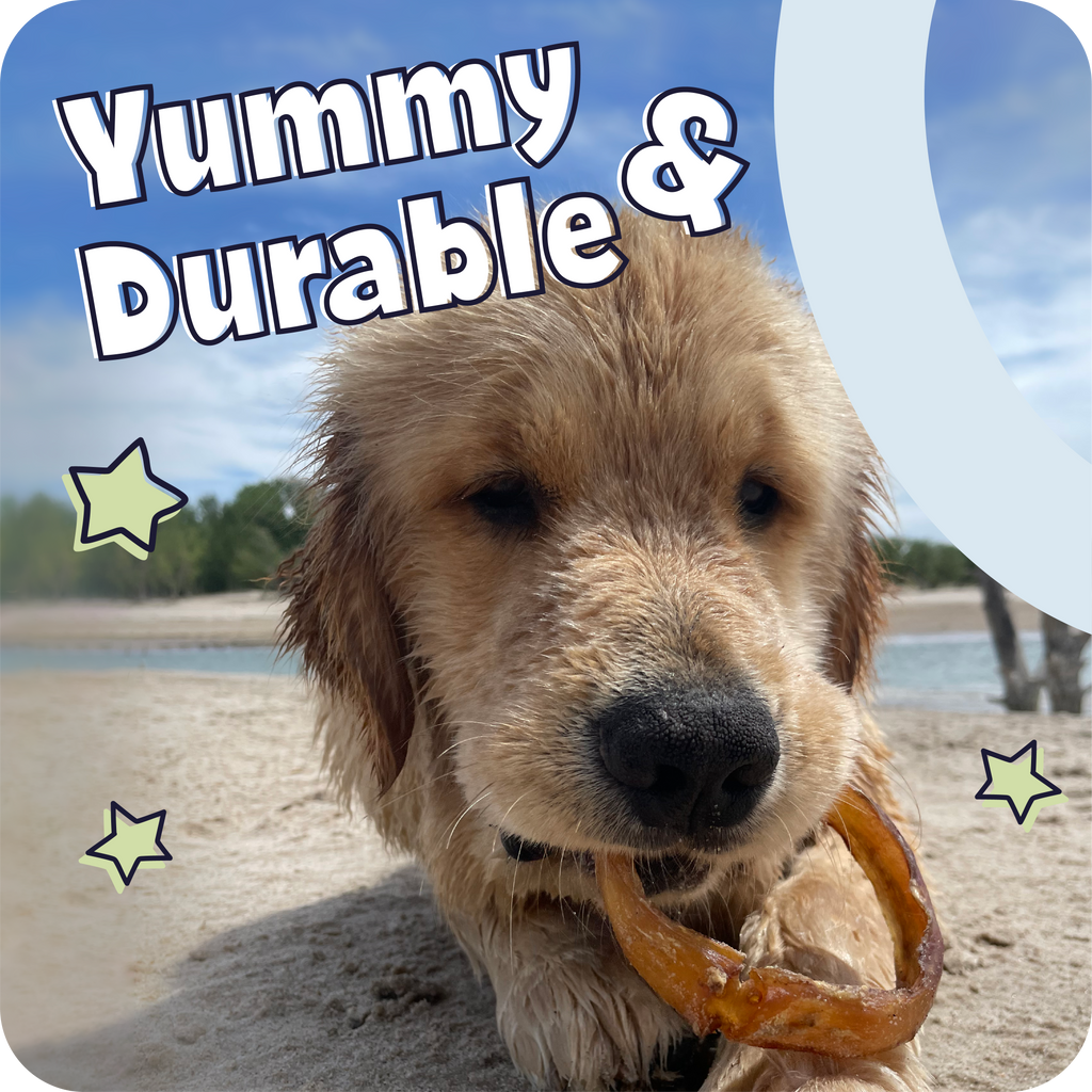 Braided Bully Stick Dog Chews product image 8