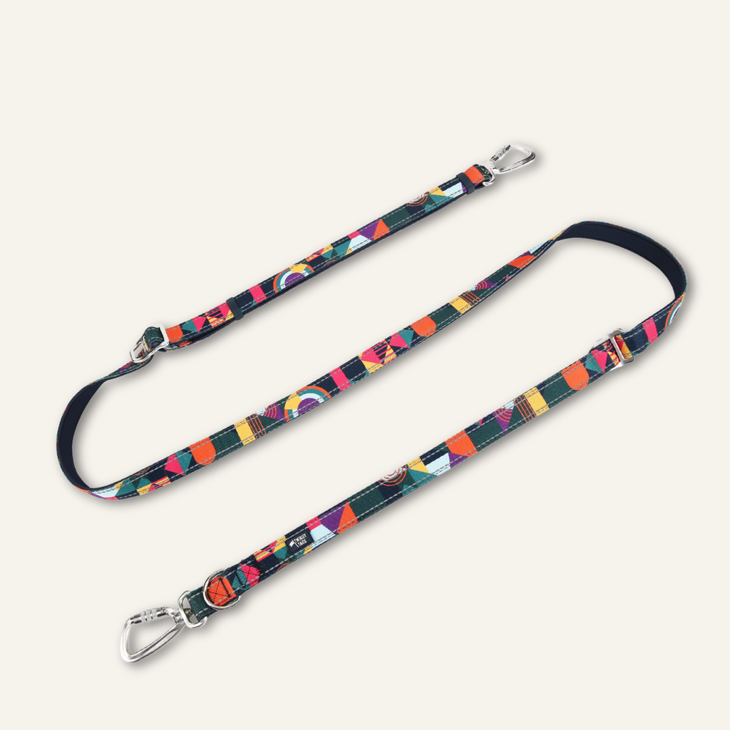 Adjustable Multi-Way Dog Leash product image 2