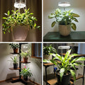 Full Spectrum LED Grow Lights for Indoor Plants, 3-Pack with Auto Timer 3/6/9H, 4 Dimmable Levels & Adjustable Height