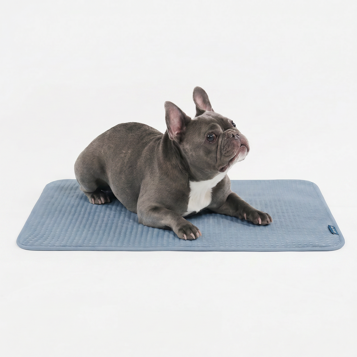 Breathable Cooling Dog Mat Waffle Ash Blue / M
