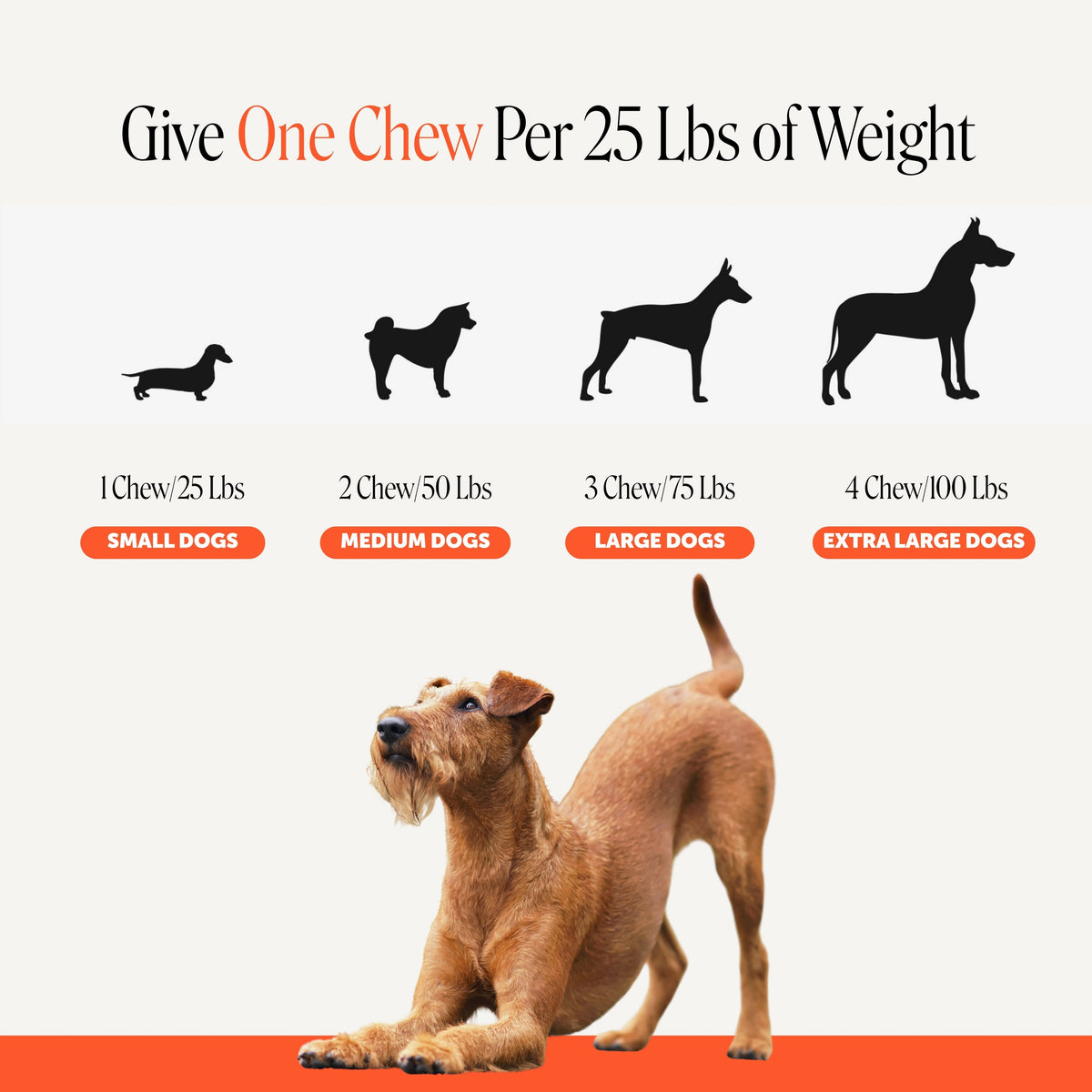 Turmeric Dog Joint Support Soft Chews product image 6