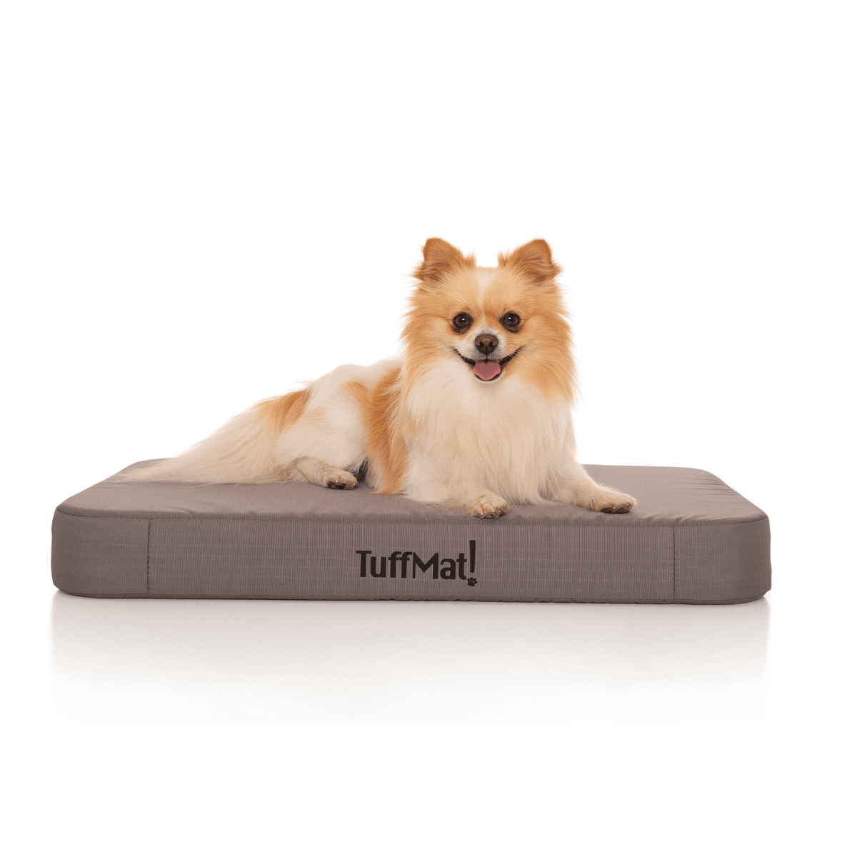 Waterproof Orthopedic Dog Bed Ash Grey / Small