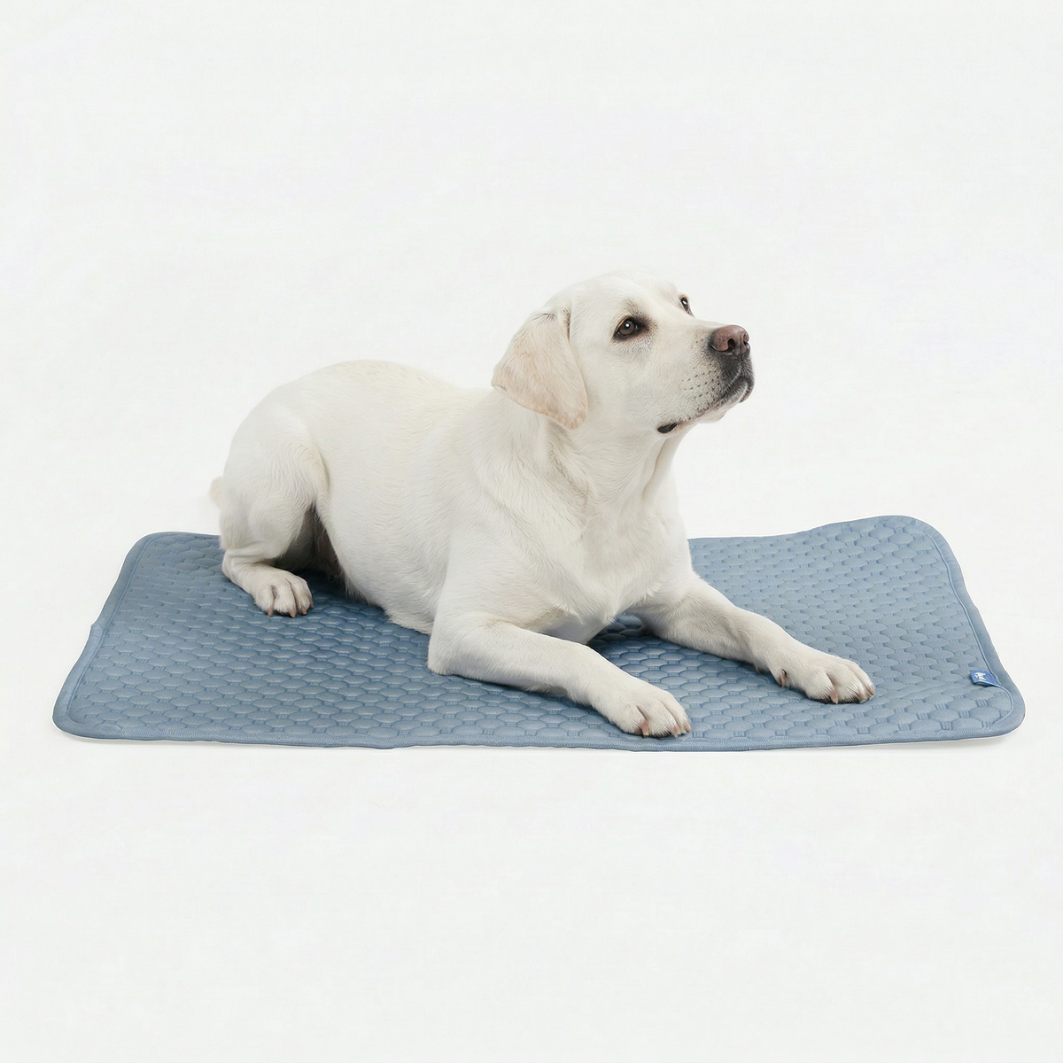 Breathable Cooling Dog Mat Ash Blue / 2XL
