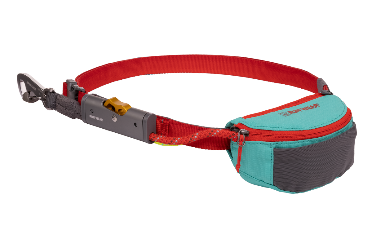 Adjustable Dog Leash and Hitching System Aurora Teal (421)