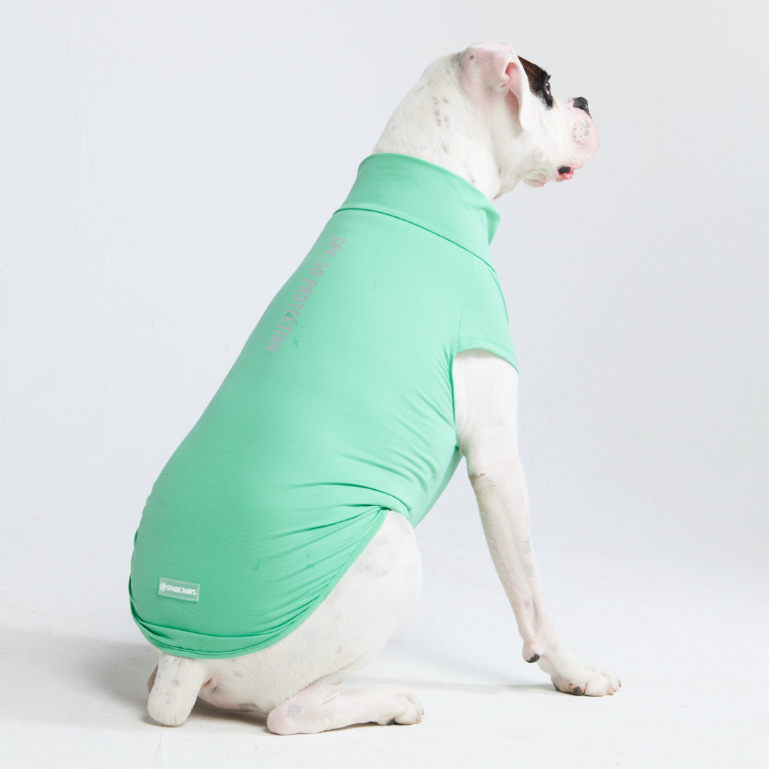 UPF 30 Dog Sun Shirt, Mint Shirt / S