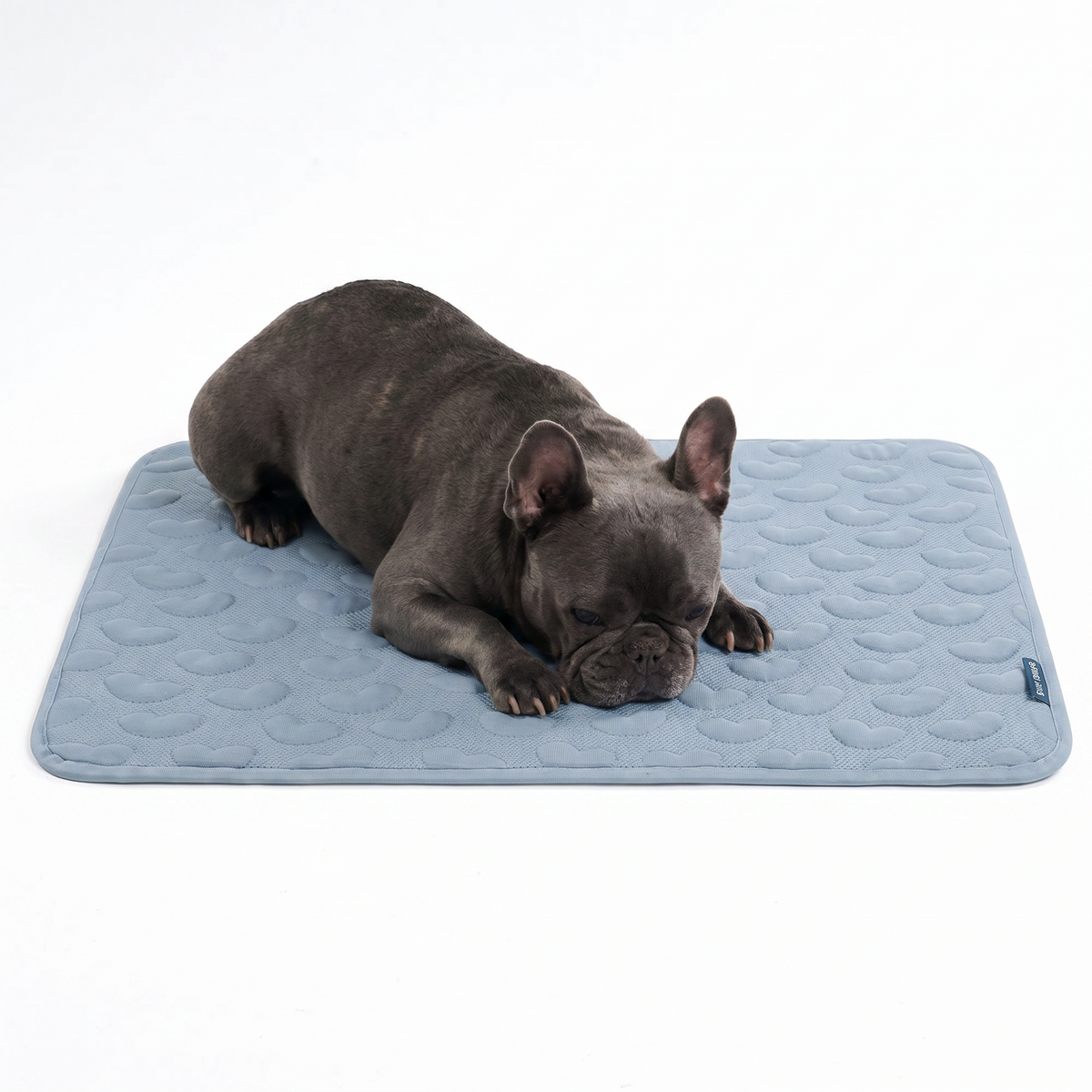 Breathable Cooling Dog Mat Hearts Ash Blue / M