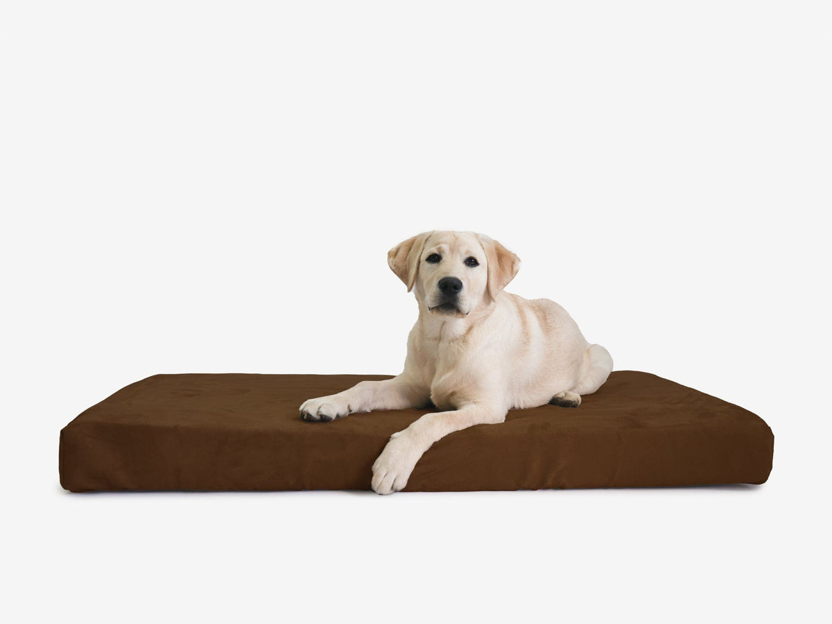 Orthopedic Dog Crate Bed Extra Large - 44.8" X 27" X 4" / Chocolate