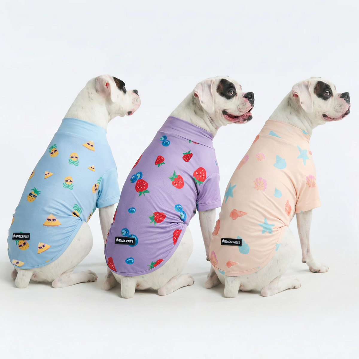 UPF 30 Dog Sun Shirt, Seashell Berries Pineapple / 2XL