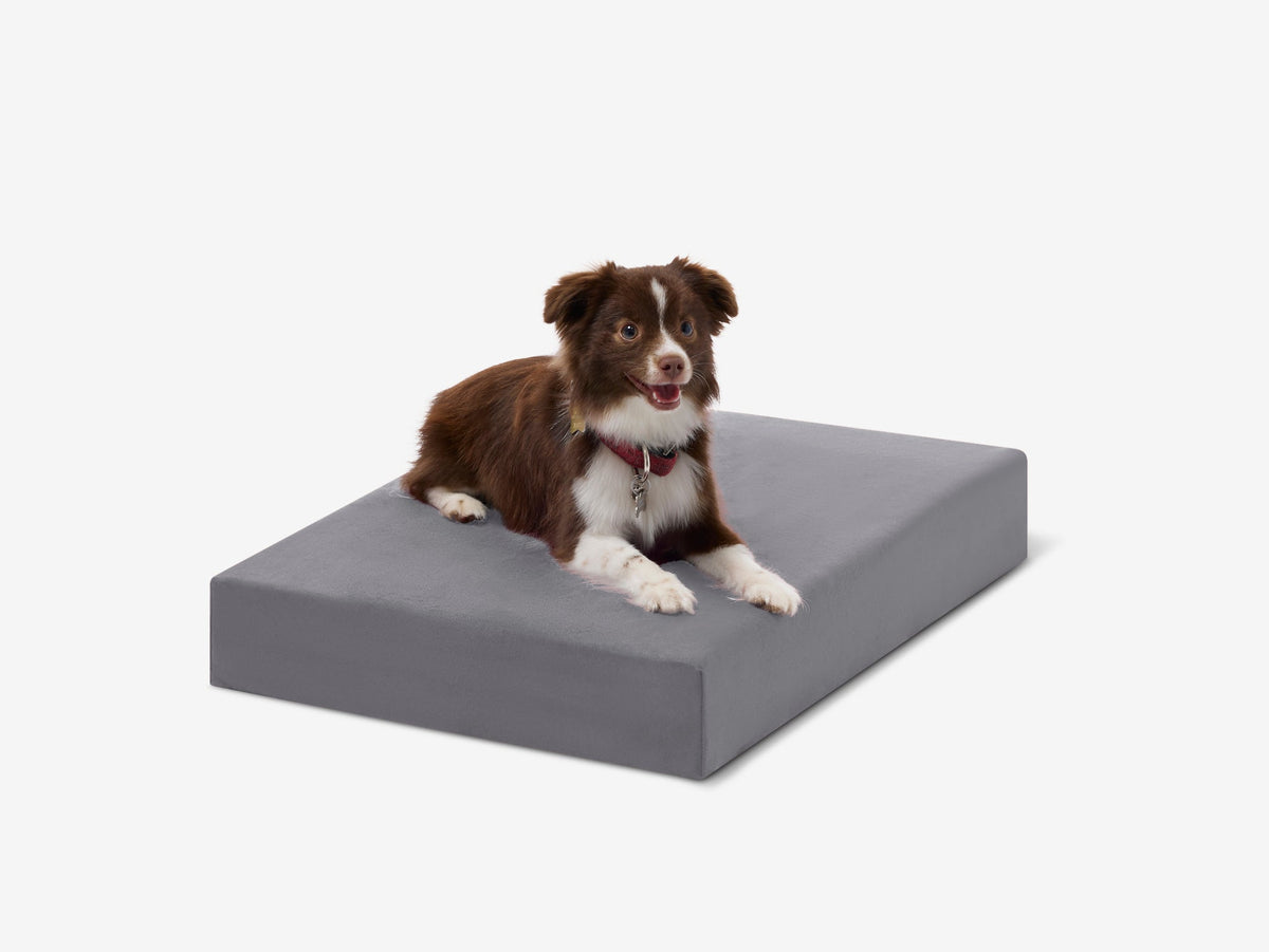 Orthopedic Dog Crate Bed Small - 27" X 18.2" X 4" / Charcoal Gray
