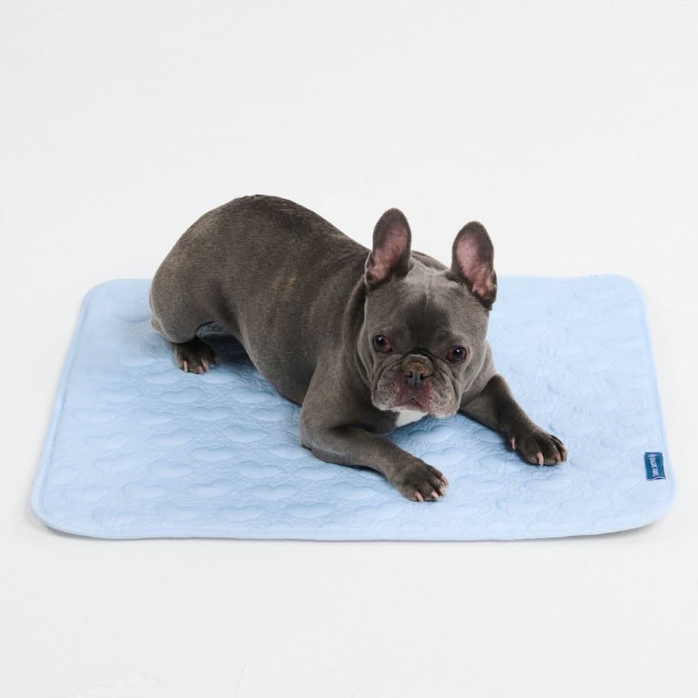 Breathable Cooling Dog Mat Hearts Blue / M