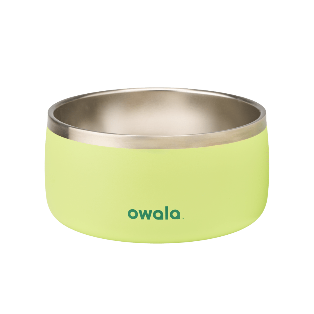 Stainless Steel Pet Bowl 6 cups / Sweet Treat