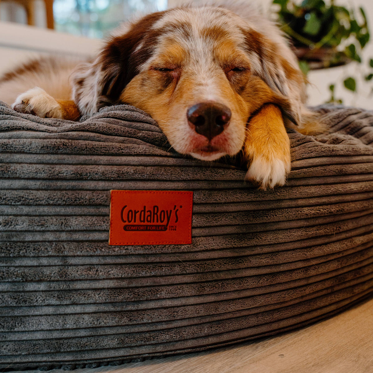 Waterproof 50-Inch Dog Bed product image 5