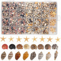 Tiny Seashells Starfish Bulk Set Beach Decor Crafts Vase Filler for Entryways, Bedrooms and Living Spaces