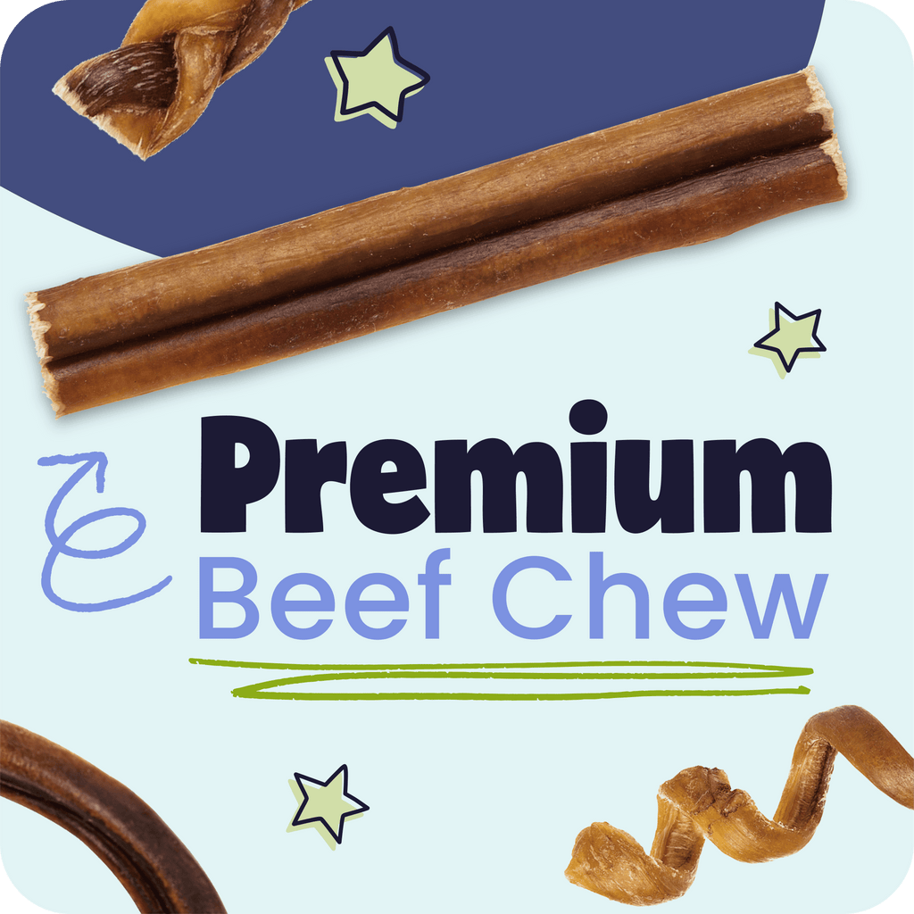 Braided Bully Stick Dog Chews product image 6