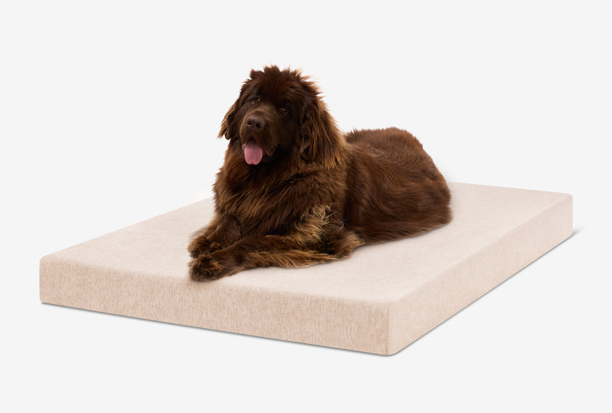Orthopedic Dog Crate Bed XXL - 50" X 32" X 4" / Driftwood Linen