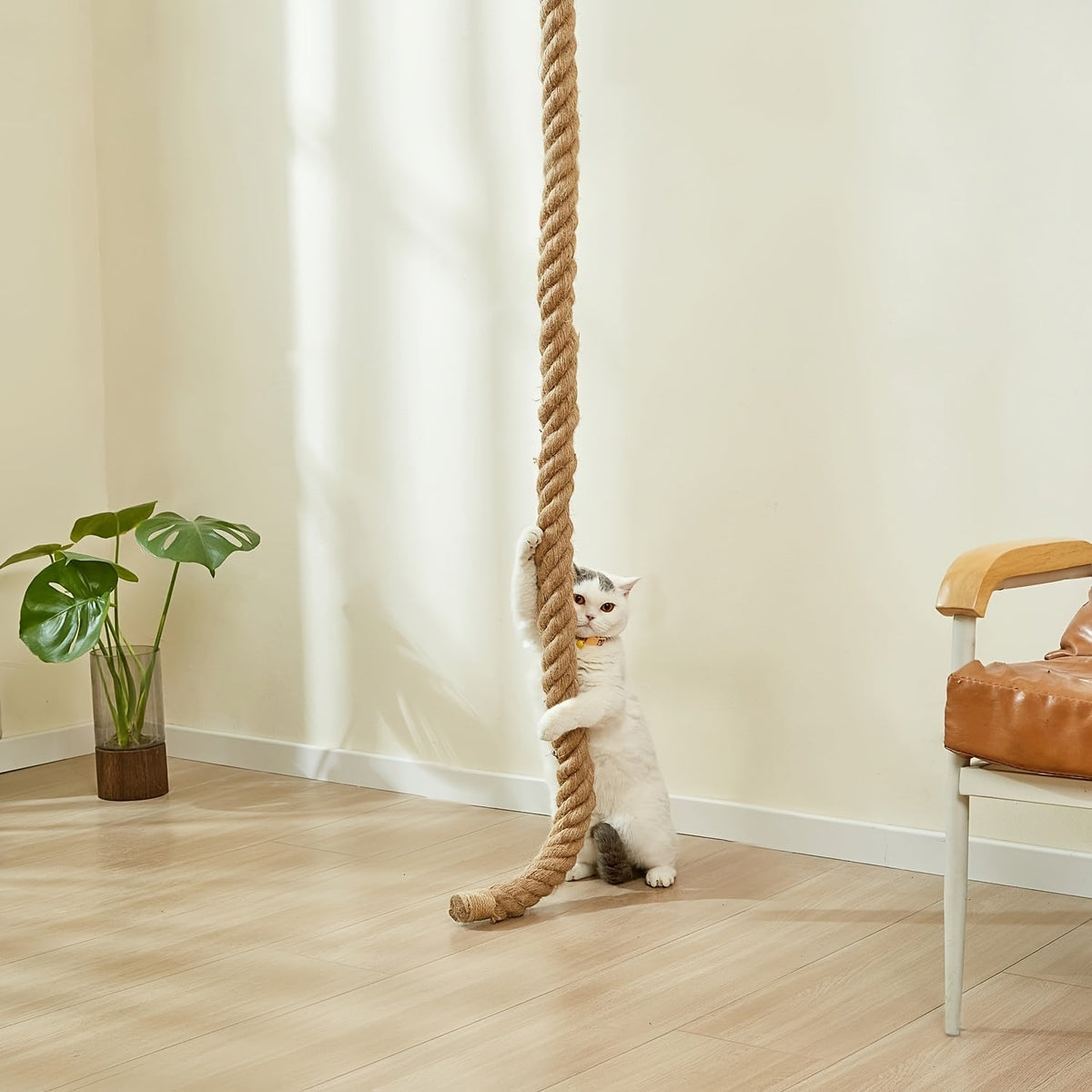 Wall-Mounted 60in Cat Climbing Rope Set with Upper Bracket, Lower Anchor and Small Wood Perch