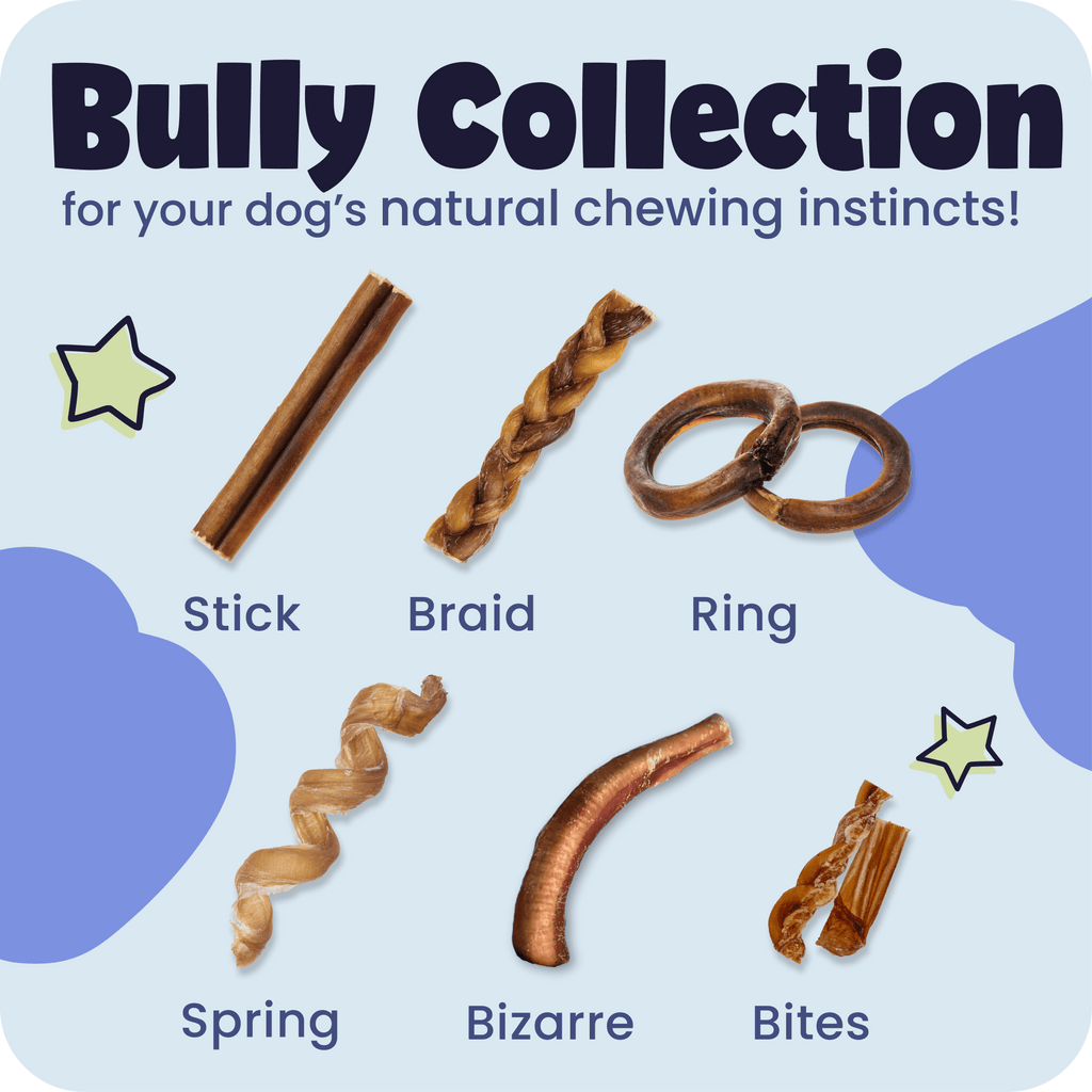 Braided Bully Stick Dog Chews product image 2