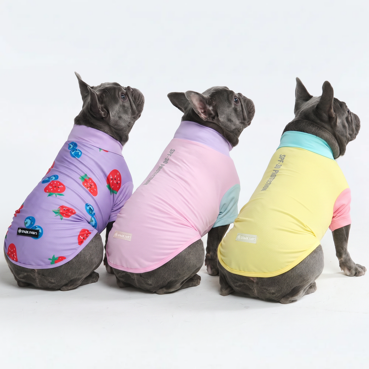 UPF 30 Dog Sun Shirt, Gelato Yuzu Berries / L