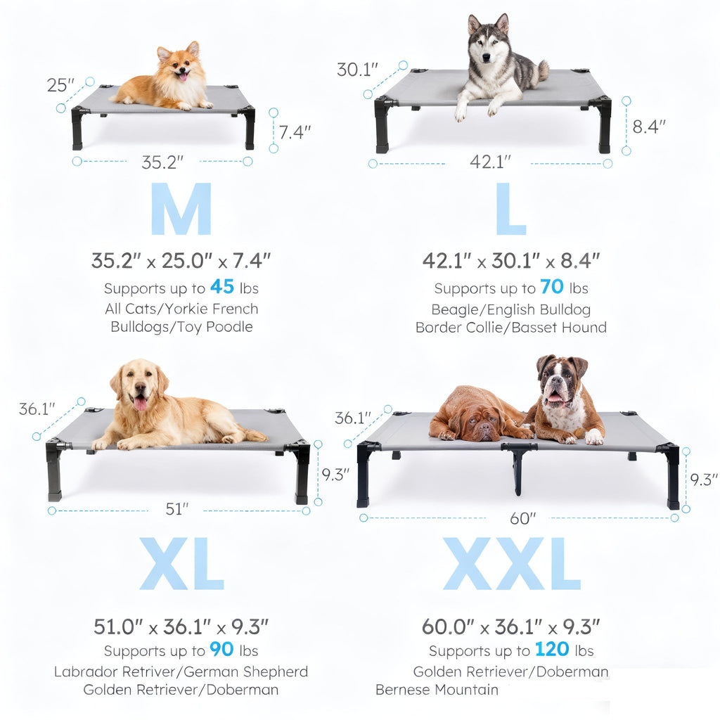 Elevated Mesh Dog Cot Bed with Folding-Leg Frame, Seven Colors and Four Labeled Sizes from 35 to 60 Inches