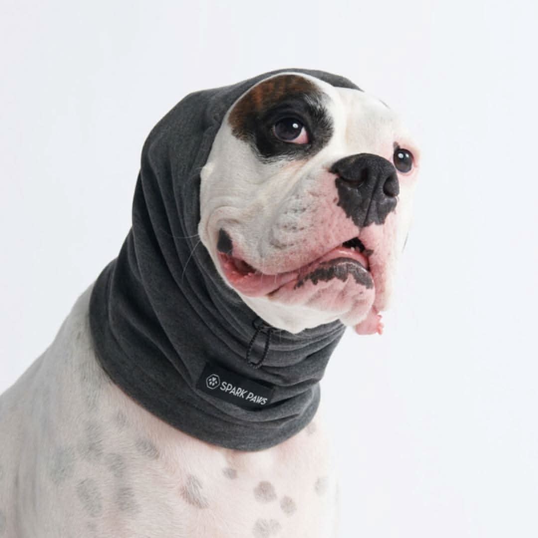 Adjustable Dog Ear Cover, Earmuff - Grey / S (10-15lbs/4.5-7kg)