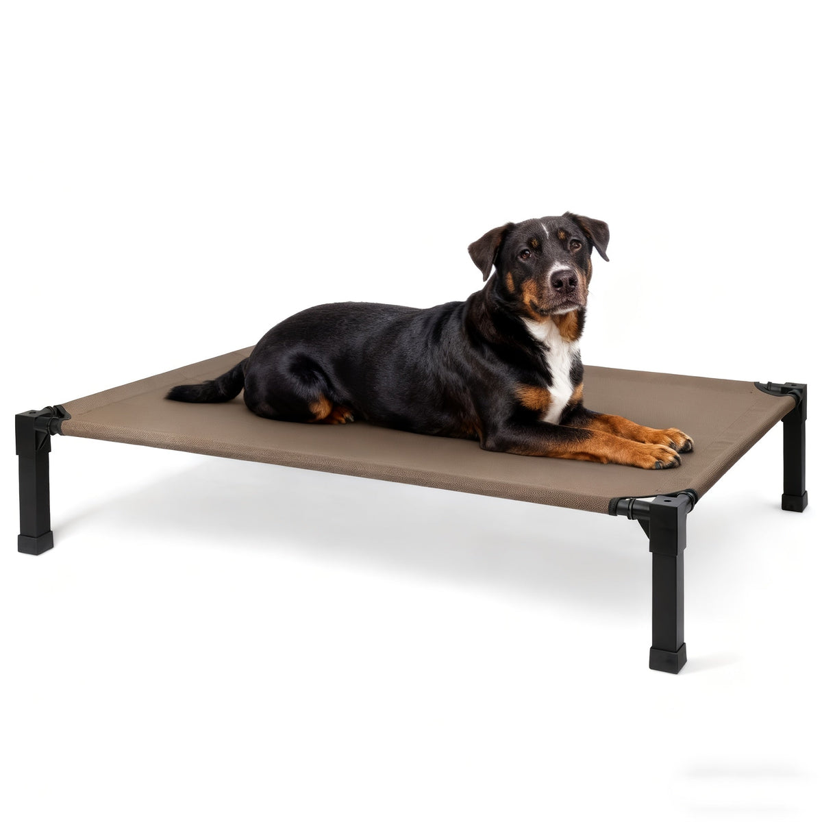 Elevated Dog Bed Cooling Raised Cot with Metal Frame – Washable Breathable Mesh, No-Slip Feet, Portable Dog Cot for Indoor & Outdoor Use