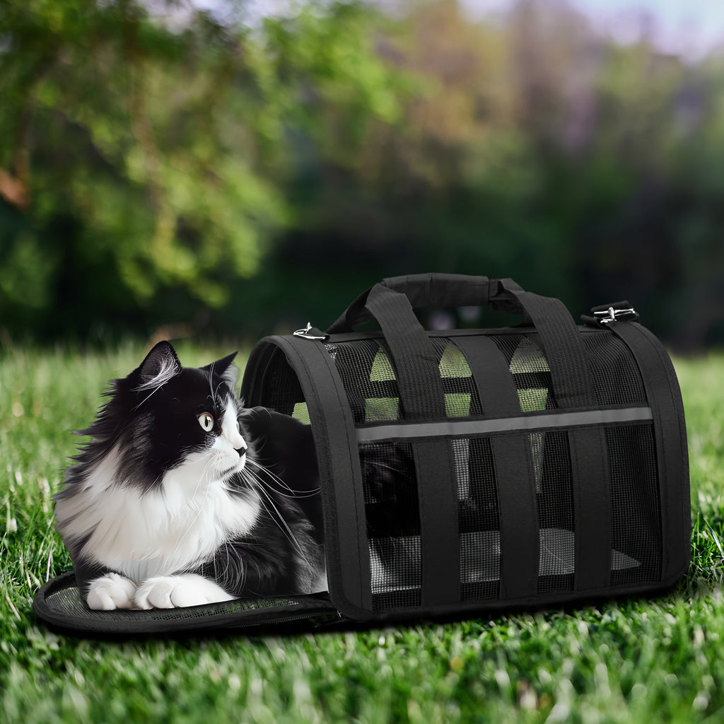 Foldable Pet Carrier Bag Breathable Mesh – Portable Soft Sided Tote for Cats & Small Dogs, Collapsible Travel Handbag, S/M/L, 7 Colors