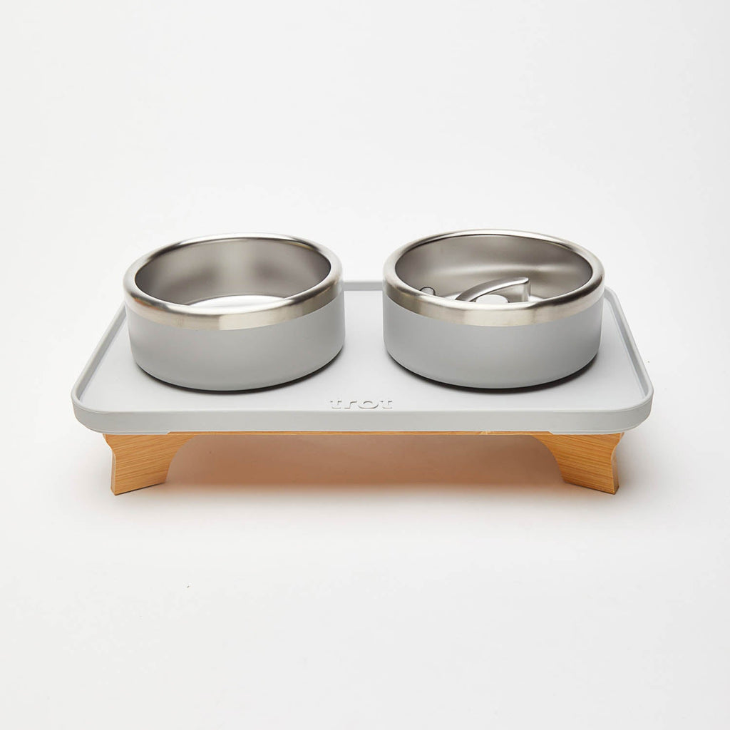 Elevated Pet Slow Feeder and Bowl Set product image 3