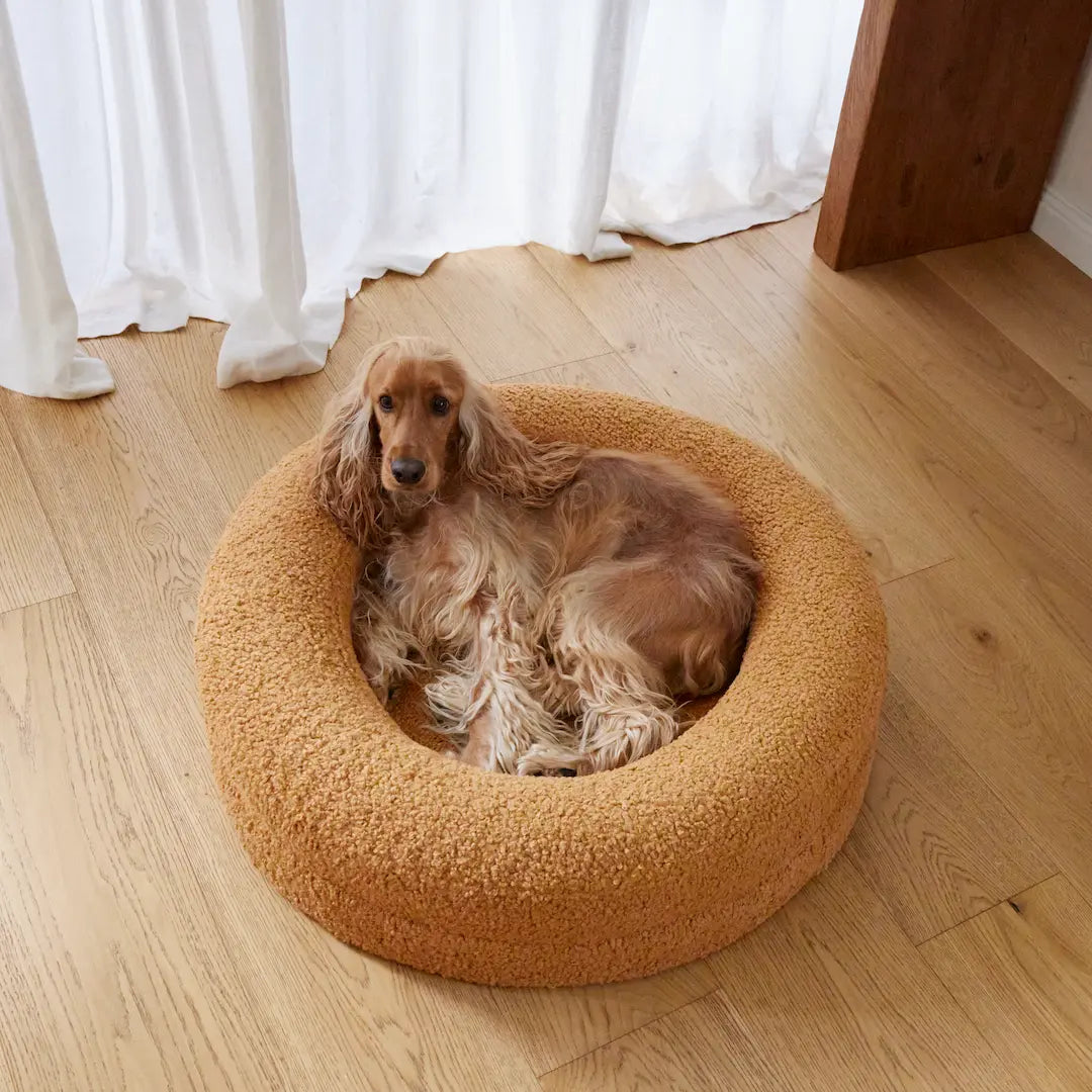 Round Orthopaedic Dog Bed Golden Teddy / M