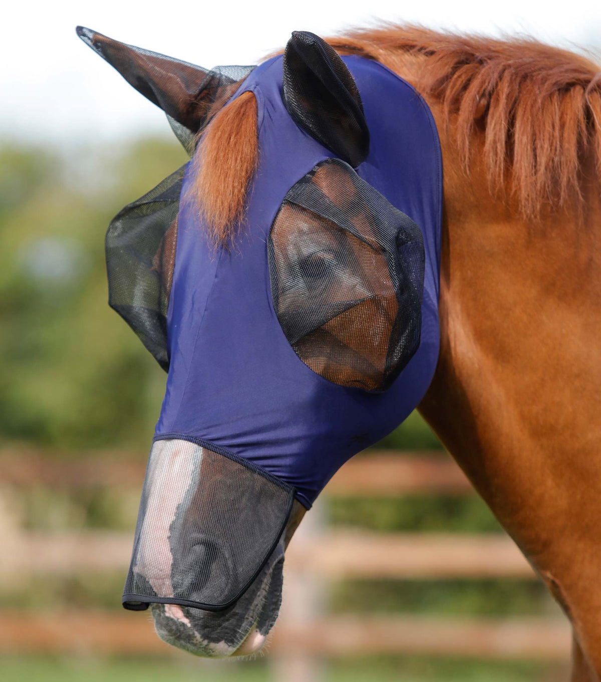 Lycra Horse Fly Mask with Nose Guard product image 1