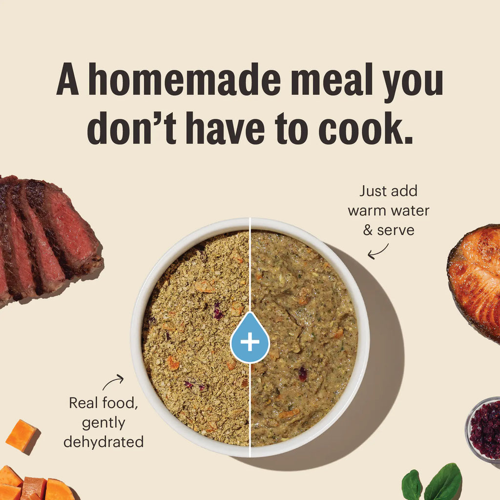 Dehydrated Beef and Oat Dog Food product view 2