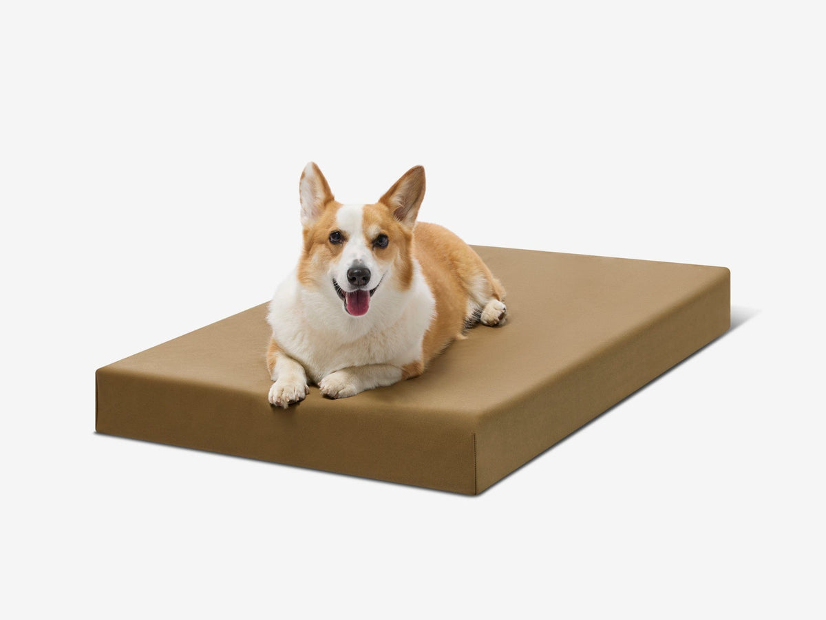Orthopedic Dog Crate Bed Large - 39" X 25.5" X 4" / Tough Cordura