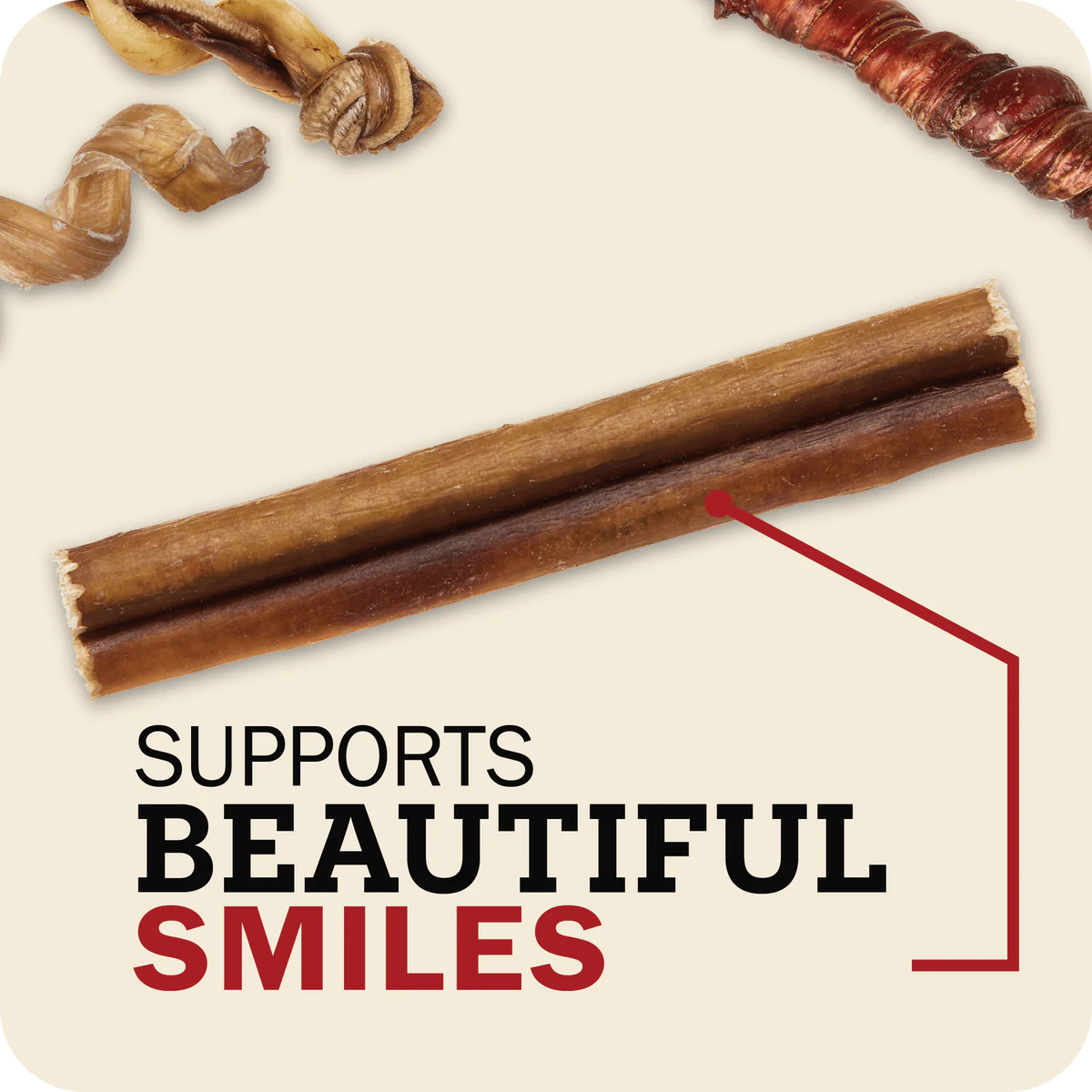 An image with Bully Stick in the center and different Bully chews in the background which reads, 'Supports beautiful smiles.'