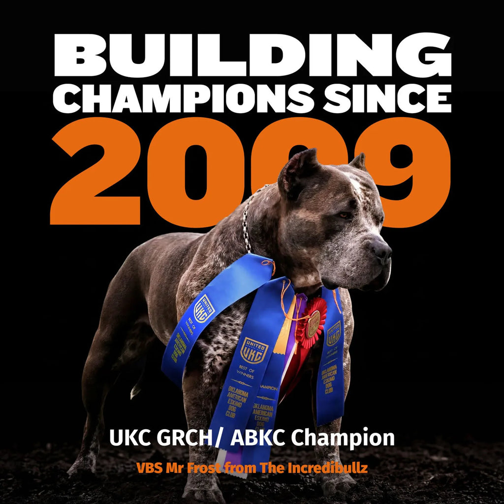 Bully Max 26/12 High Protein Chicken Wet Dog Food product image 8