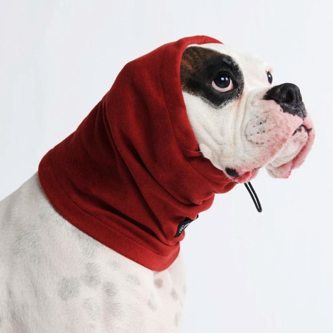 Adjustable Dog Ear Cover, Earmuff - Red / S (10-15lbs/4.5-7kg)