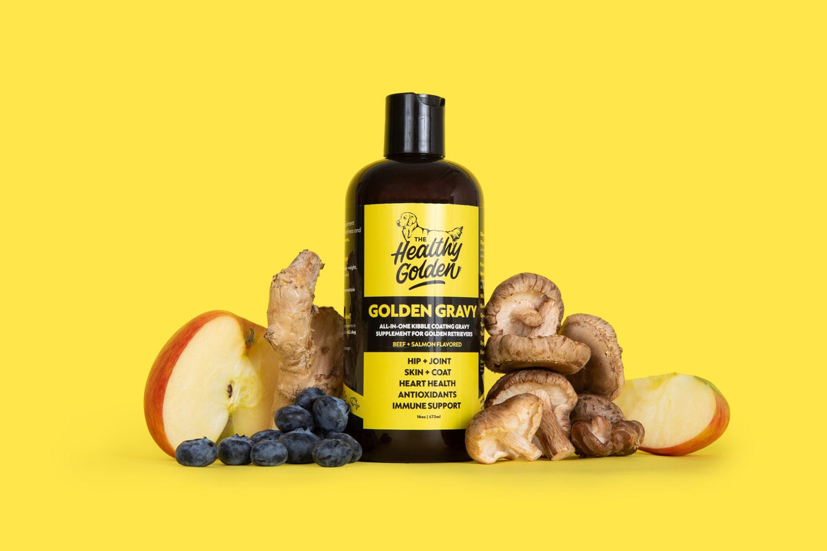 Liquid Dog Wellness Supplement Single Bottle