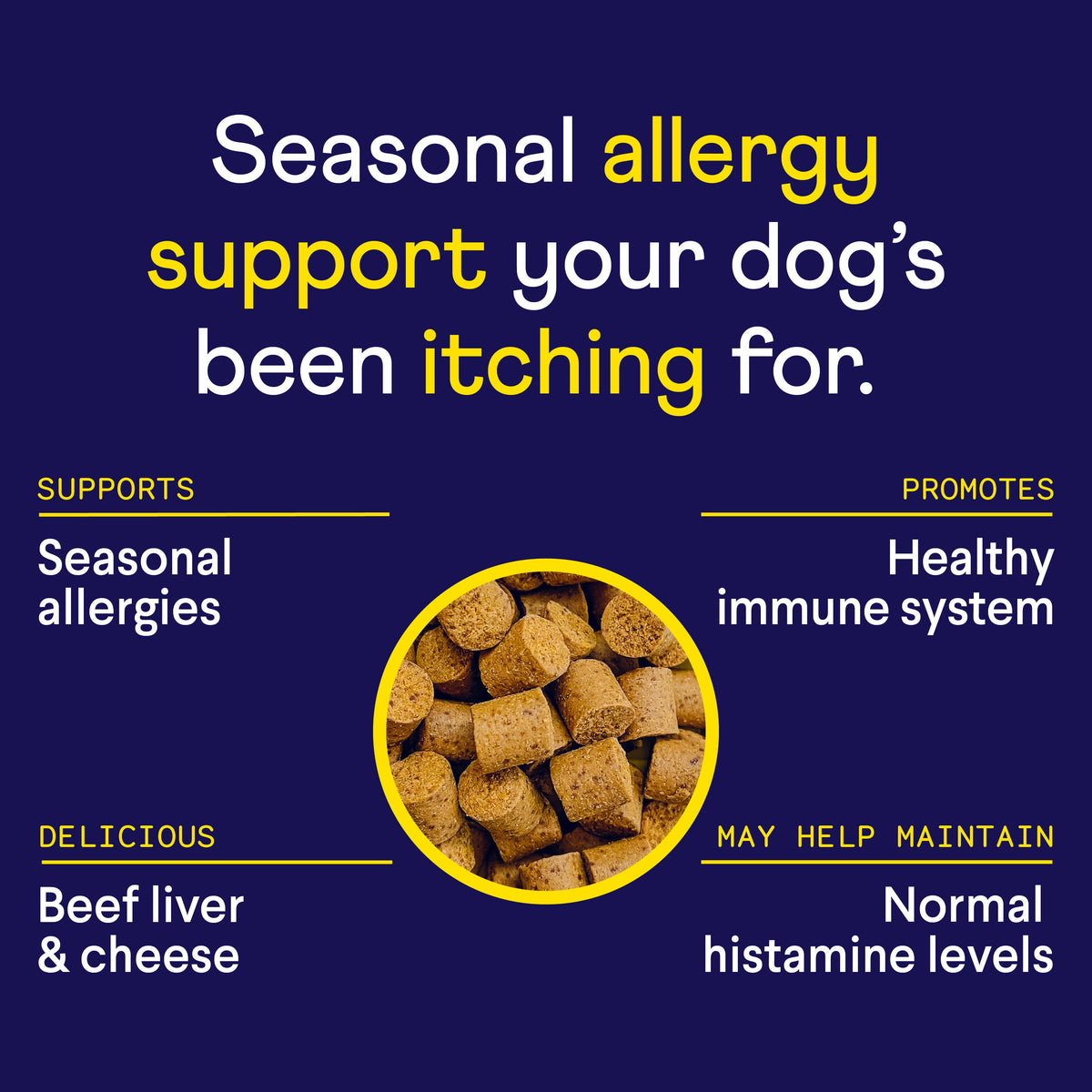 Dog Allergy and Itch Soft Chews product image 3