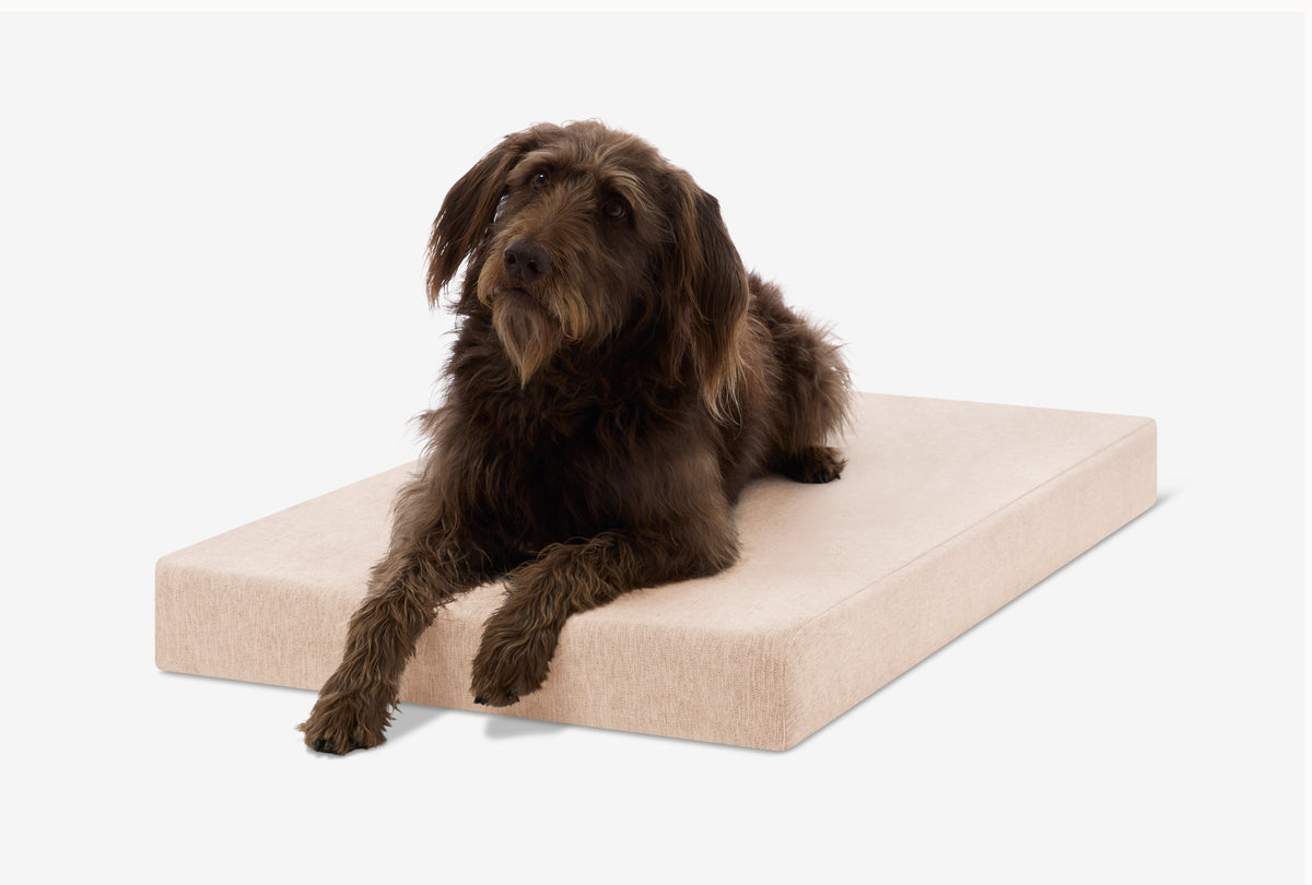 Orthopedic Dog Crate Bed Extra Large - 44.8" X 27" X 4" / Driftwood Linen