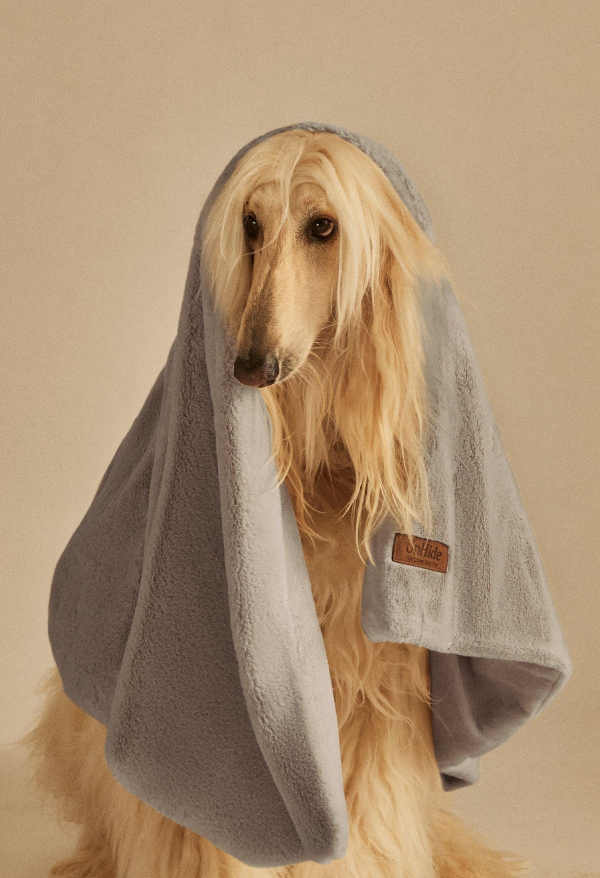 Water-Resistant Pet Blanket Taupe Ducky
