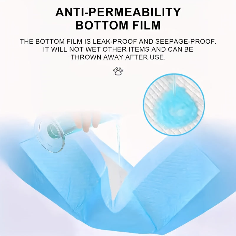 XXXL Dog Pee Pads 6-Layer Odor Control – Buy 80 Get 20 Free, Oversized Disposable Urine Pads for Large Dogs, Senior Dogs & Puppies