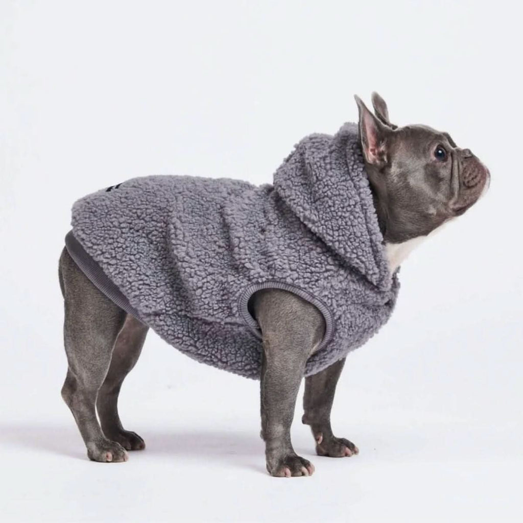 Teddy Sherpa Dog Jacket S