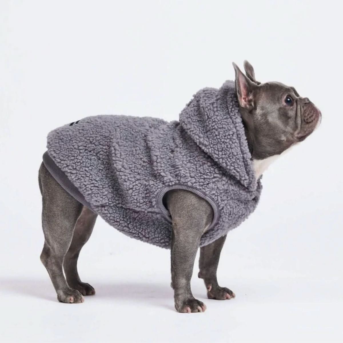Teddy Sherpa Dog Jacket S