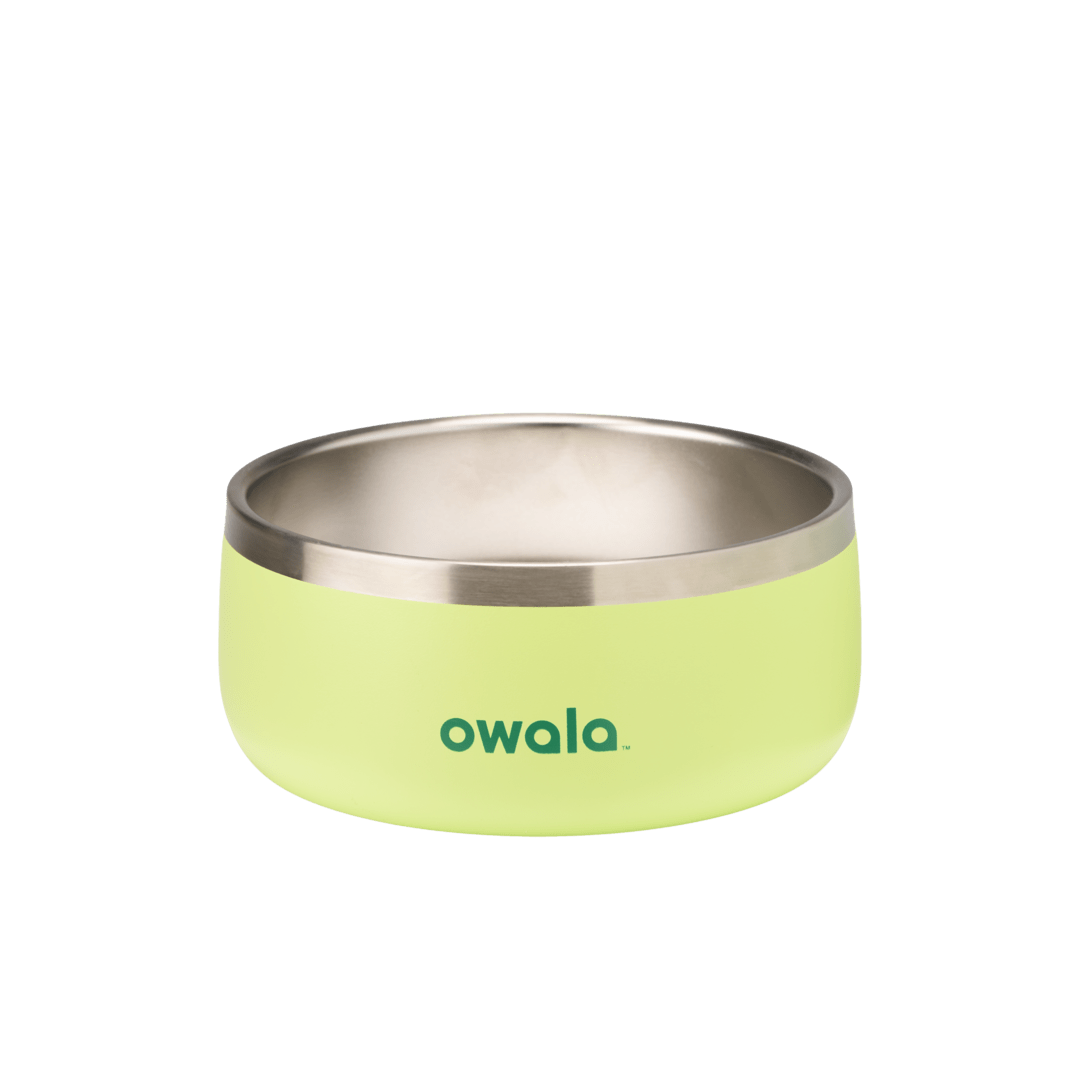 Stainless Steel Pet Bowl 3 cups / Sweet Treat